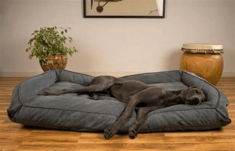 Great Dane Dog Bed 10 Best Extra Large Dog Bed for Great Dane in 2022