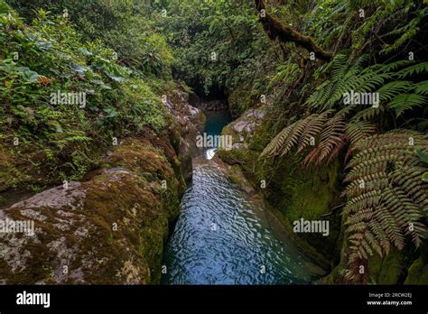 The beautiful Costa Rica Rainforest, waterfalls and blue river in the middle of the jungle Stock ...