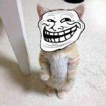 Troll Cat Meme Generator - Imgflip