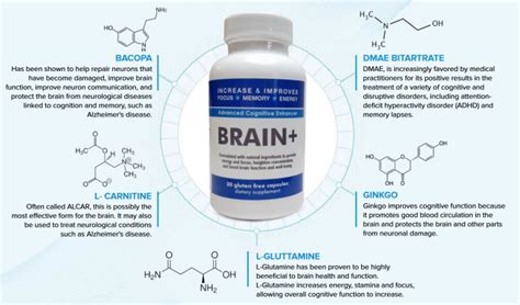 Brain+ Review | Best Supplements For Brain Function and Memory | by ...