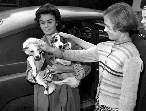 The incredible story of Belka & Strelka - the first dogs to return from ...