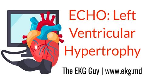 What Is Left Ventricular Hypertrophy (LVH)? American Heart, 49% OFF