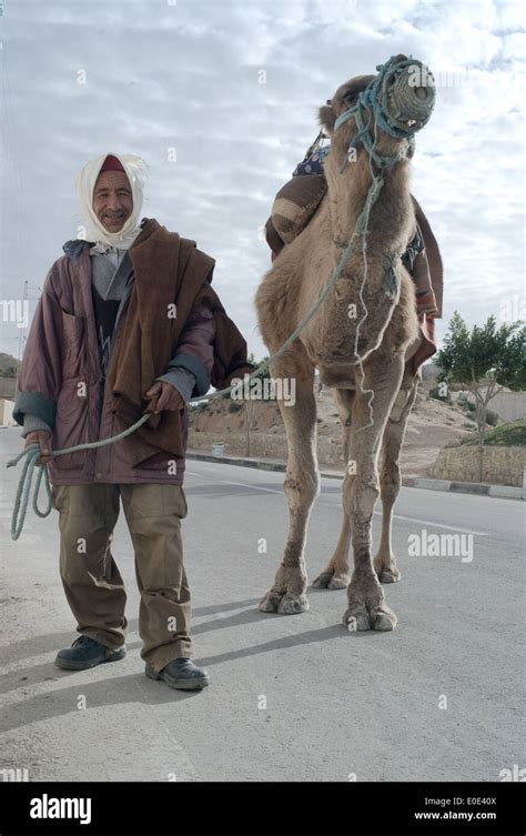 culture and tradition in the south of Tunisia Stock Photo - Alamy