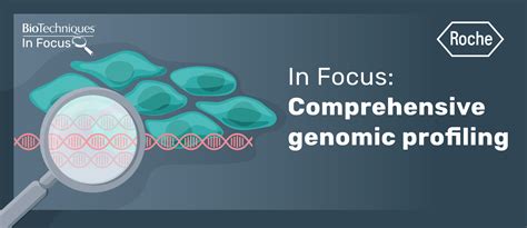 In Focus: Comprehensive genomic profiling - BioTechniques