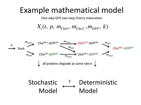 Mathematical Model