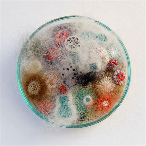 Crocheted and Embroidered Bacteria Grow in Elin Thomas's Fiber Art Petri Dishes — Colossal