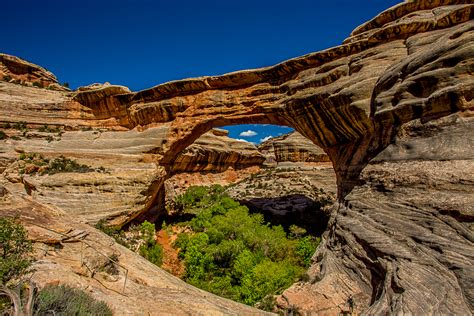 Dennis's Blogs: Natural Bridges, National Monument in Utah