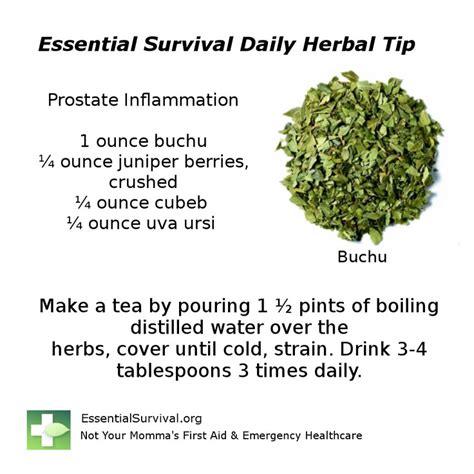 Use these herbs for prostate inflammation. | Herbs, Prostate health ...