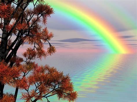 Arc en ciel eau | Arc en ciel, Fond d'écran arc en ciel, Paysages magnifiques