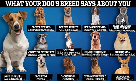 What Breed Of Dog Talks The Most? Unveiling The Chatterbox Canines