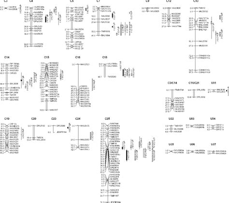 A genetic linkage map developed from RILs derived from sGK9708 9 0-153 ...