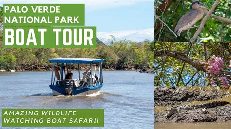 Palo Verde National Park Boat Tour: Great Wildlife Safari Day Excursion in Guanacaste - YouTube