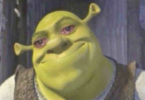 Crying shrek Blank Template - Imgflip