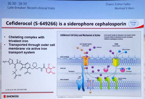 Cephalosporin Mechanism Of Action - cloudshareinfo