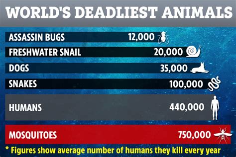 World's deadliest animals ranked by number of humans killed – and snails are number 5 on list