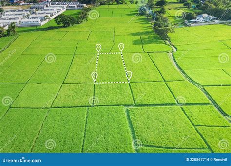 Land plot in aerial view stock photo. Image of location - 220567714