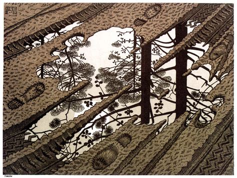 Puddle - M.C. Escher - WikiArt.org - encyclopedia of visual arts