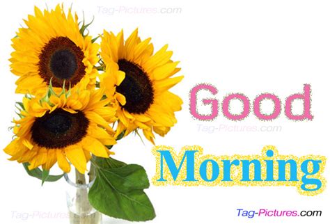 Good Morning With Sunflowers - Good Morning Wishes & Images