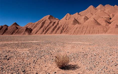 Puna de Atacama: ubicación, lugares turísticos y mucho más