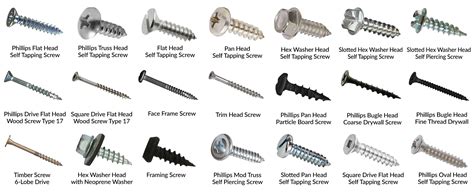 products interstate screw types of wood screws best | Wood screws, Screws and bolts, Nut and ...