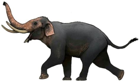 Four-tusked elephant (Liera) | Speculative Evolution Wiki | Fandom