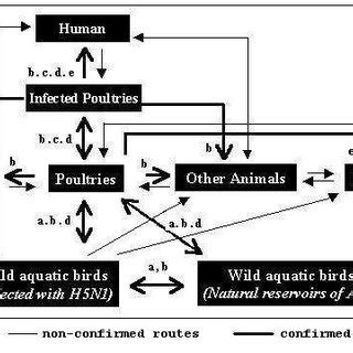 The possible transmission routes of H5N1 from one host to another ...