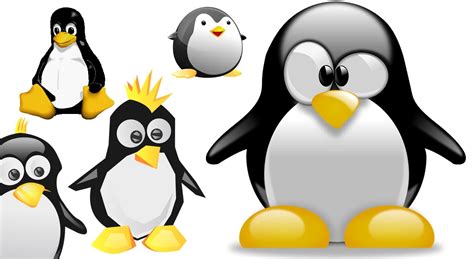 tux linux | Dresses Images 2022