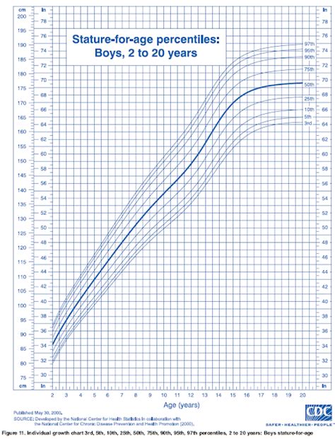 OurMedicalNotes: Growth Chart - Stature-for-age percentiles: Boys, 2 to 20y