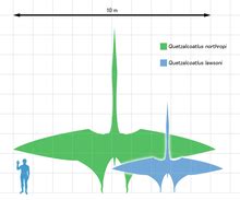 Pterosaur size - Wikipedia