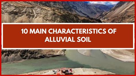 Alluvial Soil Characteristics