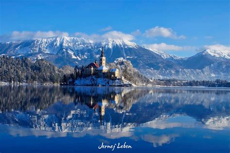 Photo Gallery: Lake Bled draped in winter white in the winter