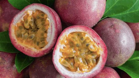 What are tropical fruits? What are the benefits of eating tropical fruits?