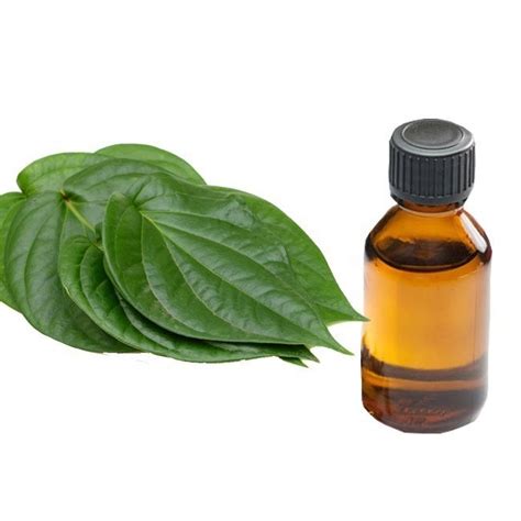 Betel Leaf Oil at Rs 12000/kg | Natural Essential Oil in Kannauj | ID ...