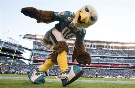 Resultado de imagen de mascot Swoop — Philadelphia Eagles Philadelphia ...