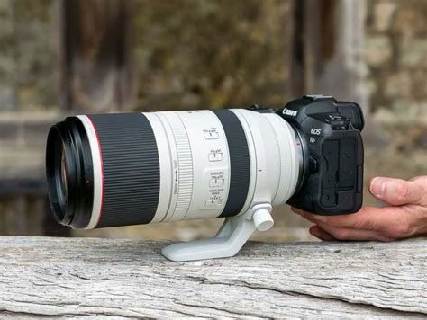 Canon RF 100-500mm F4.5-7.1L IS USM First Impressions | Photography Blog