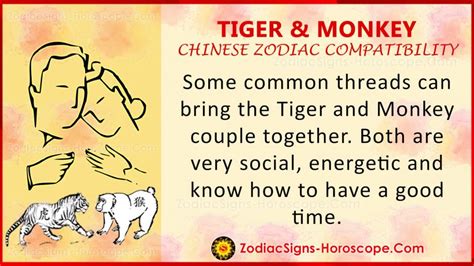 Tiger and Monkey Chinese Zodiac Compatibility: Love and Relationship