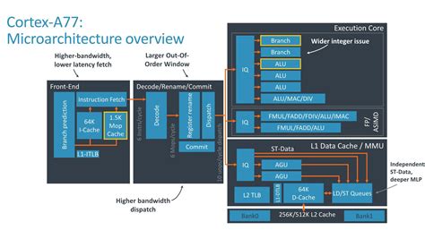 ARM Cortex A77 FAQ: Speed, efficiency, and AI coming in 2020 | Android ...