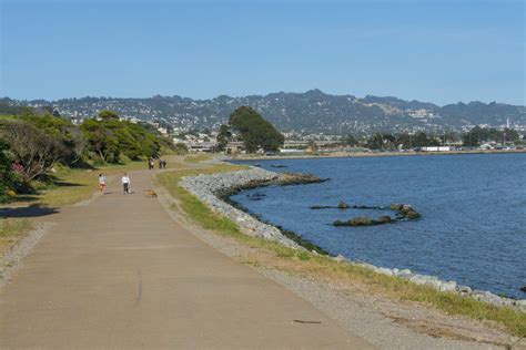 Albany Beach | Bay Water Trail