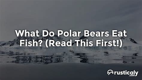 What Do Polar Bears Eat Fish? (Finally Explained!)