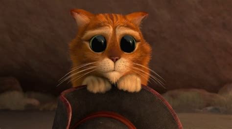 Create meme "the cat from Shrek GIF, puss in boots eyes , I'm sorry the ...