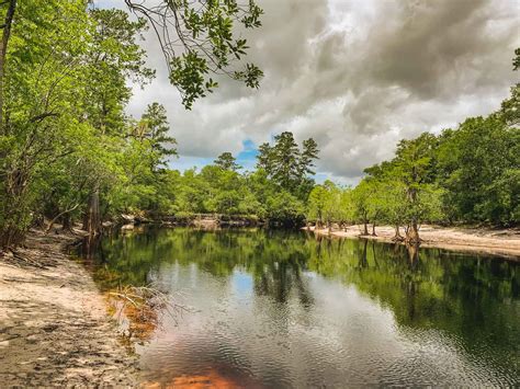 Suwannee River Place - Jon Kohler & Associates