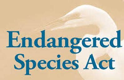 Organizations - Endangered Species