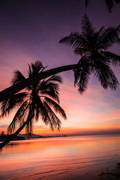 THAILAND SUNSETS | Thailand travel, Samui beach, Thailand tourist