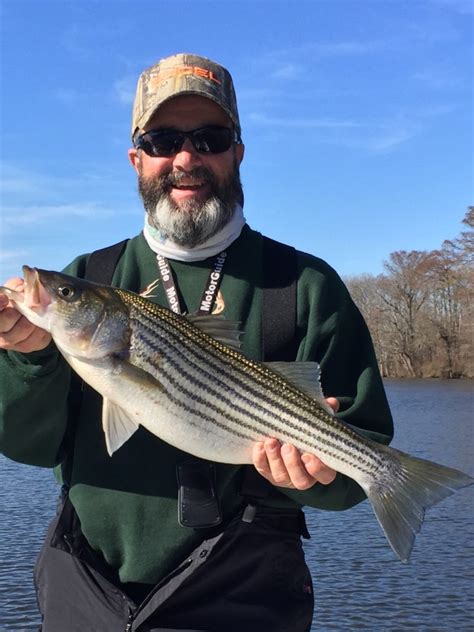 Pamlico Tar River Stripers - FishIBX Eastern NC Fishing Guide