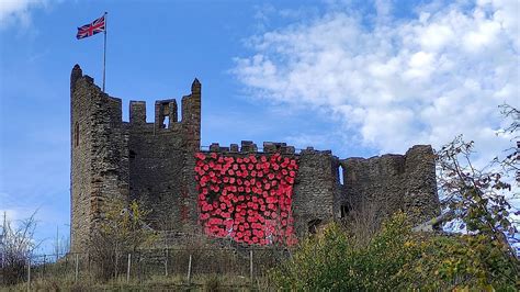 P﻿oppies cascade down Dudley Castle - BBC News