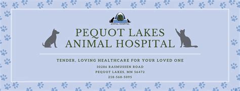 Pequot Lakes Animal Hospital - Home