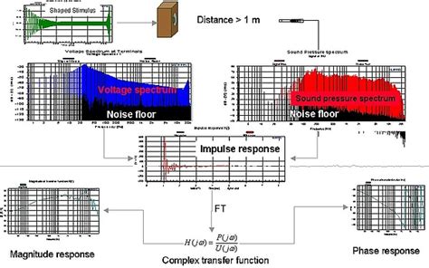 Magnitude and Phase Response