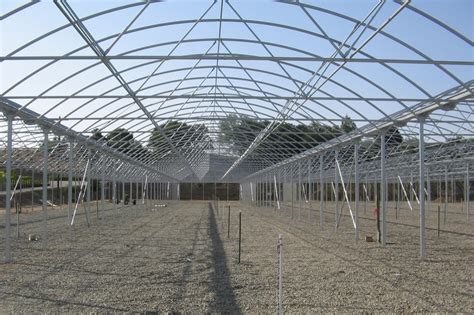 Greenhouse Construction – Stuppy Greenhouse