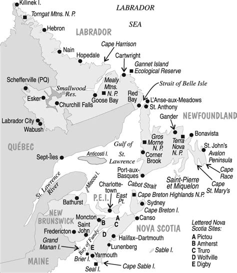 Atlantic Region: Winter 2020–2021 - American Birding Association