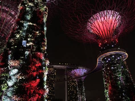 7 things to keep you busy for Chinese New Year in Singapore